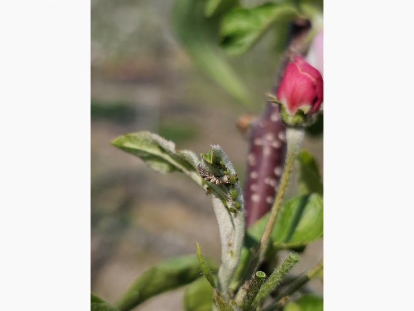file_13