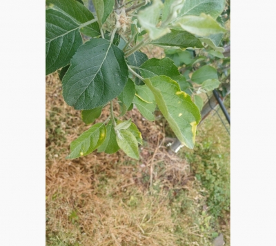 file_11