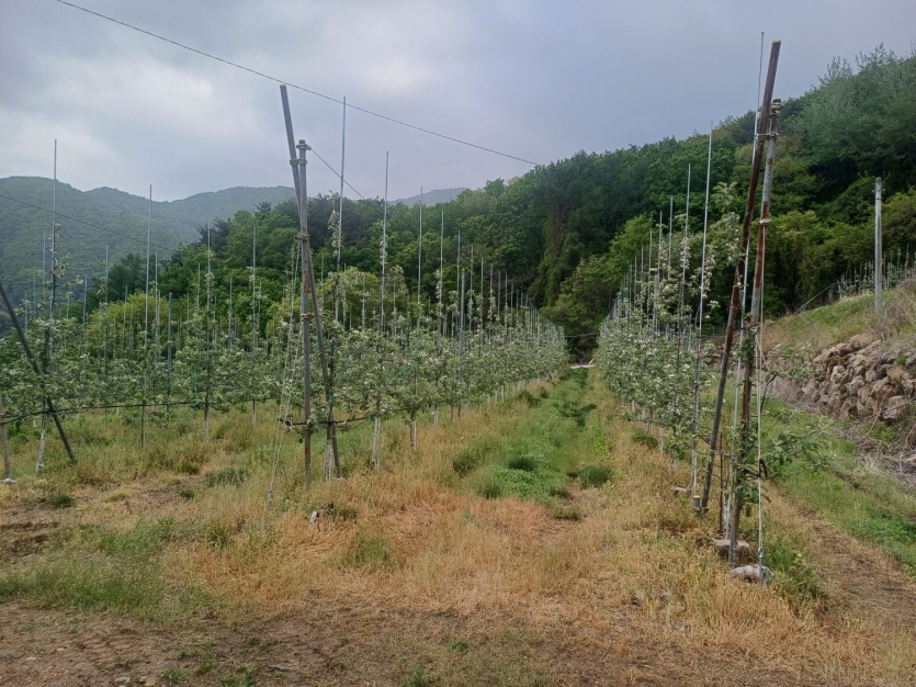 file_22