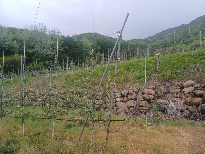 file_33