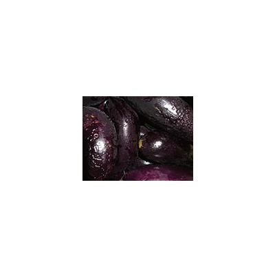 표면 수침 증상