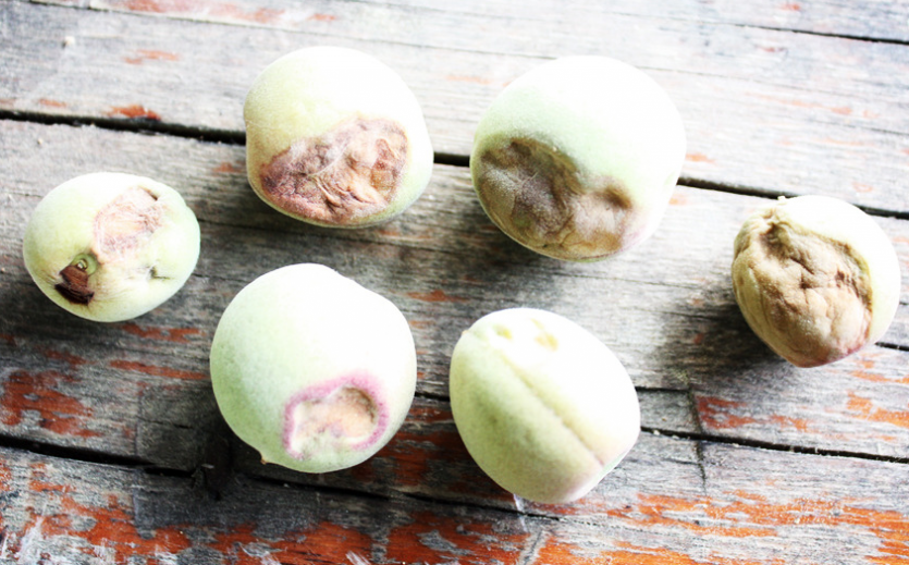 함몰 및 공동 현상