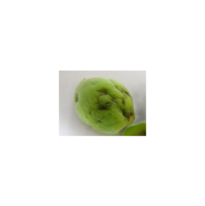 함몰 및 공동 현상