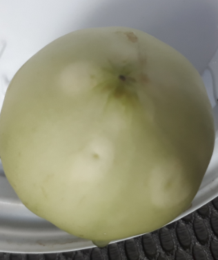 부풀어 오른 가해 흔적