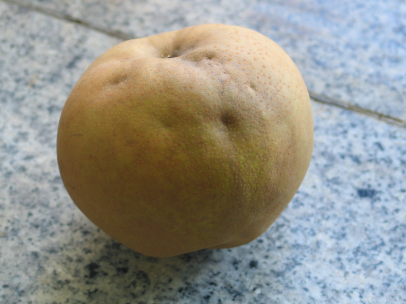 후기 피해 증상(약, 중, 심)