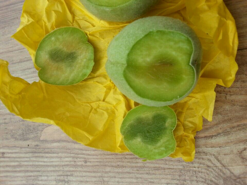 경핵기 후기 핵할에 의한 내부 수지 발생 피해