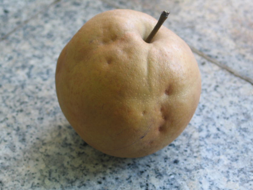 후기 피해 증상(약, 중, 심)