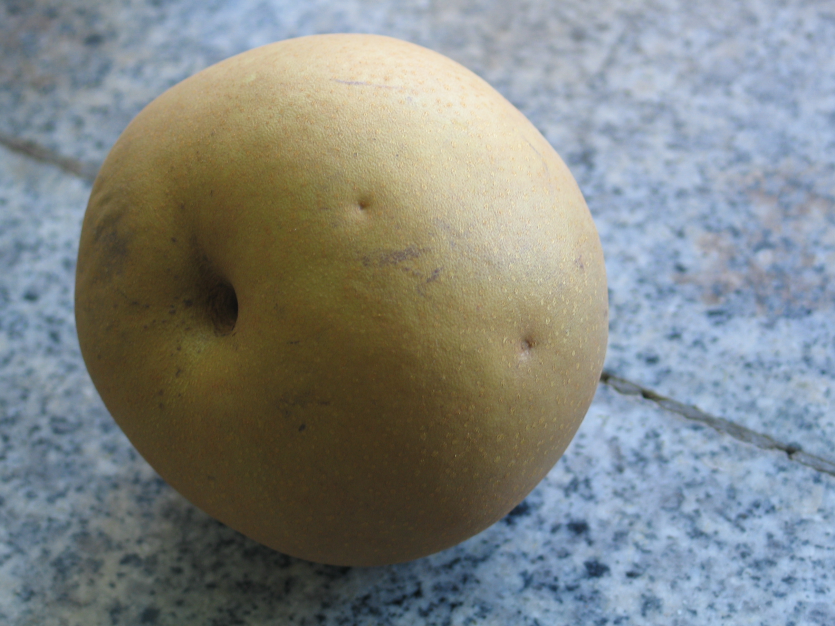 후기 피해 증상(약, 중, 심)